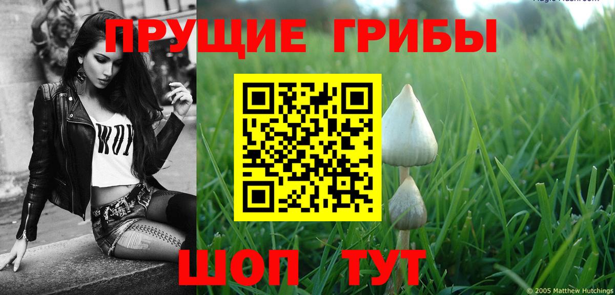 Псилоцибиновые грибы GOLDEN TEACHER Можайск